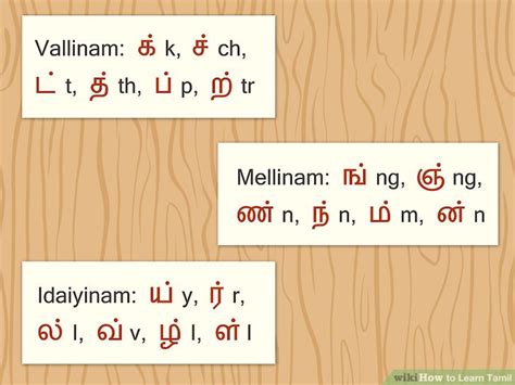 tamil vallinam mellinam idaiyinam|Tamil/Tamil Script